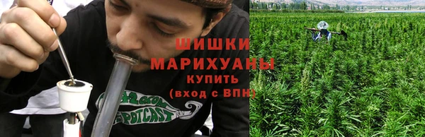 тгк Богданович
